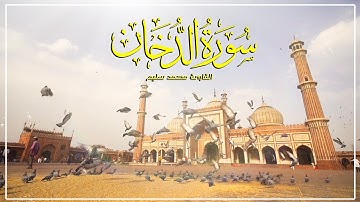 تلاوات زكية بنبرة هادئة تريح الأعصاب و تخشع لها القلوب القارئ | محمد سليم