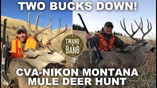 CVA-Nikon Mule Deer Hunt! Two Bucks Down
