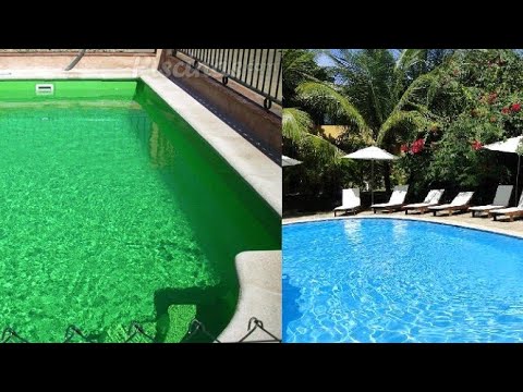 Agua verde piscina solucion