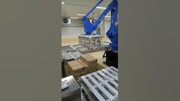 Integrated automatic solution provider-palletizing machine