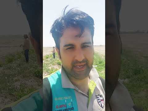 یکی از فواید علف هرز در زمین های کشاورزی و باغ