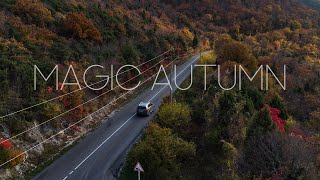 Magic Autumn. Flight above Abrau-Durso road.