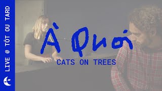 Cats On trees : À quoi (live @totoutard )