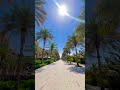 #abudhabi #atlantis #palmjumeirah #palmtrees #sea #bluesky