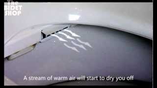 How does the Electric Coway Bidet works 