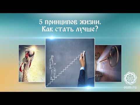 5 принципов жизни.