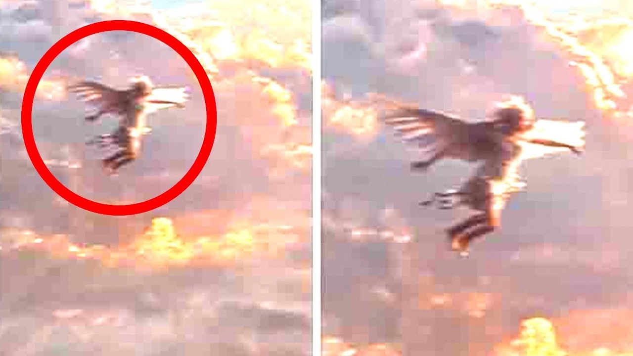 Top 10 Real Angels Caught On Camera - YouTube
