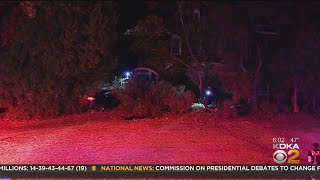 Car Nearly Hits Squirrel Hill Home