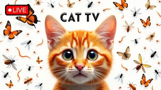 🔴12Hours LIVE : CAT GAMES | Fun Games to Entertain Your Cat Episode3🐝🐞🦋🦎🦜 screenshot 4