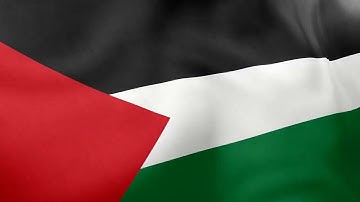 PALESTINE - Waving Flag Loop 4K