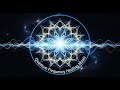 528Hz Quantum Brainwave | Meditation for DNA Repair &amp; Consciousness Flow