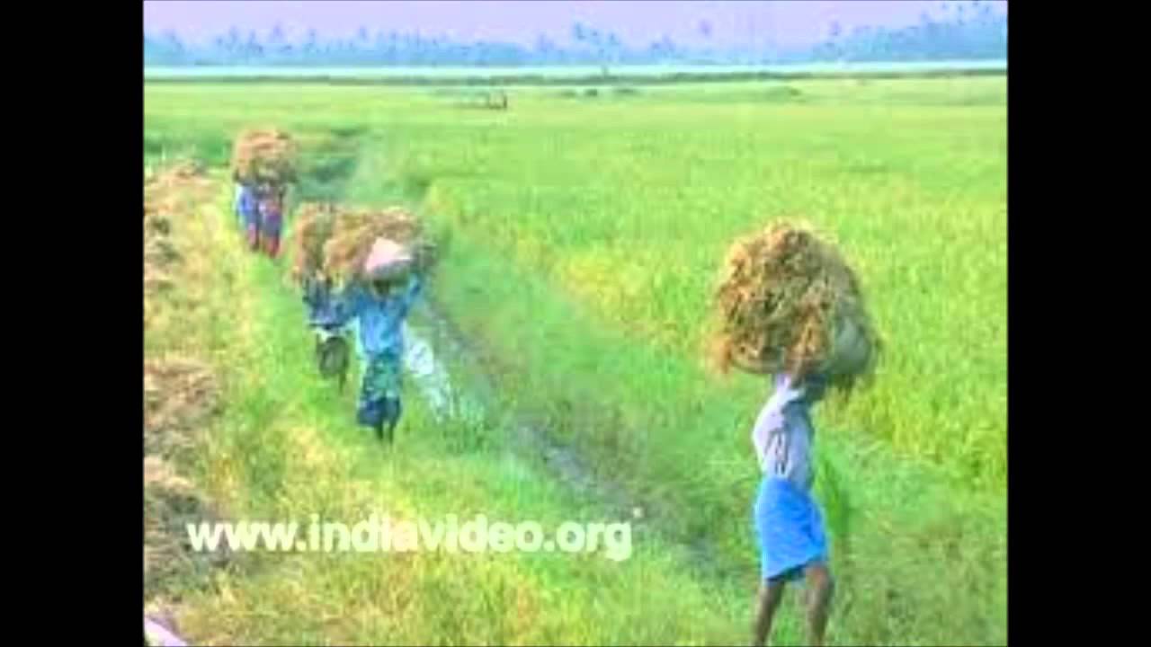 Neram poy Neram poy Ellarum poyalla......