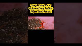 Sungai Paling Murni di Amazon yang Terlihat Seperti Dunia Fantasi
