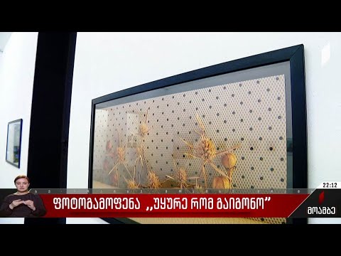 ფოტოგამოფენა „უყურე რომ გაიგონო“