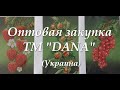 Оптовая закупка ТМ "Дана"(Украина)