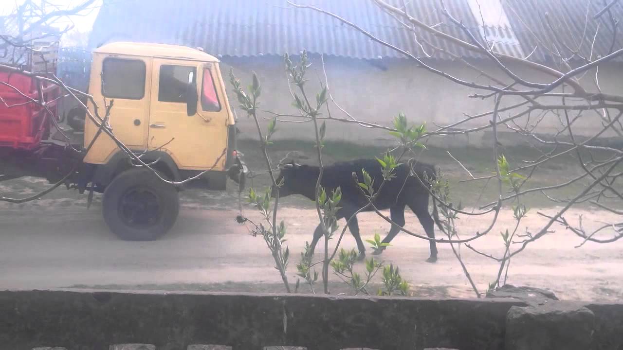 Камаз бочка видео приколы