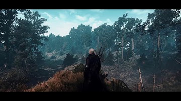 Witcher 3 // ReShade and environment showcase #34