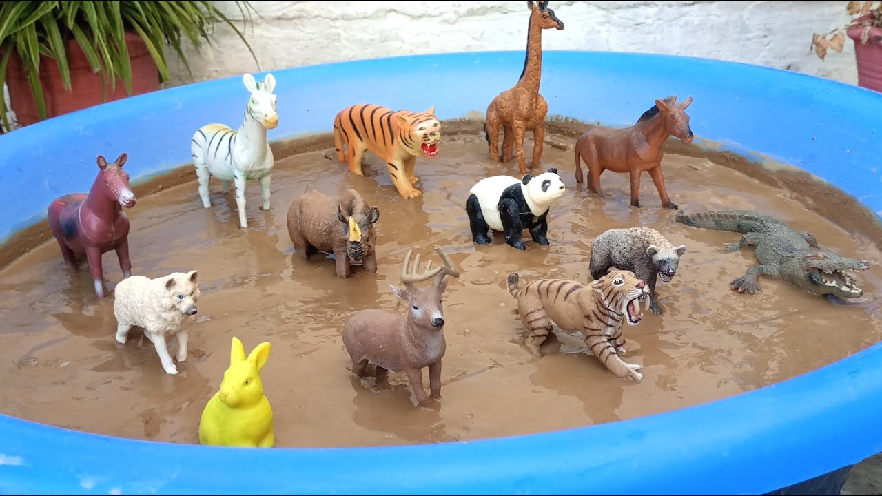 Exciting Jungle and Zoo Animals Play For Learning - DWH Animals