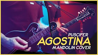 Puscifer - Agostina (Mandolin Cover) by Mando Lorian