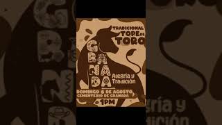 Tope De Toros 2023 Granada, Nicaragua #viral #granada #nicaragua #elcuconica #nica #famoso #toros