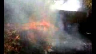Famous Huge Leaf and Gasoline Explosion Wealth