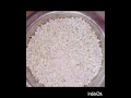 Kaise banaye sabudana khichdi safed wali #food#jodhpur#lalsagar#foodie#Saas#bahu#geetavarma #recipe