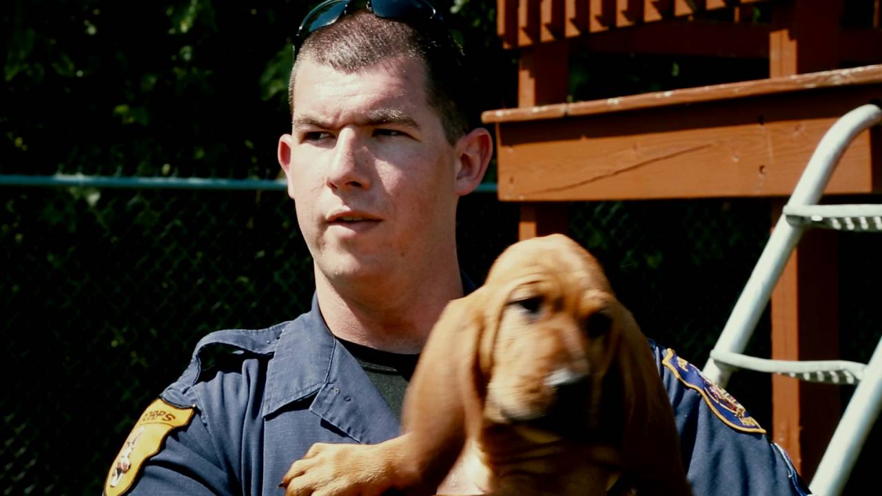 Adorable Police K9's First Day On The Job - Hampton Police