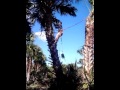 Another day at Ecoflorida.