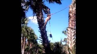 Another day at Ecoflorida.