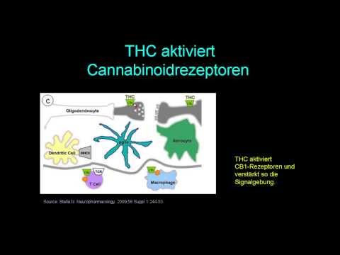 Dr. Franjo Grotenhermen, Arbeitsgemeinschaft fÃ¼r Cannabinoidmedikamente 10. Internationaler akzept Kongress Bielefeld, 09. bis 11. Oktober 2013 Programm-Schw...