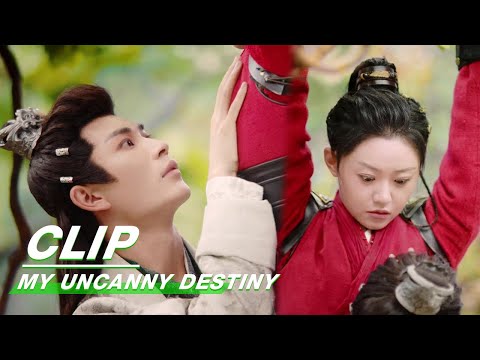 Xuanming Gets Jealous | My Uncanny Destiny EP15 | 保护我方城主大人 | iQIYI