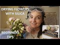 HOW TO DRY YOUR OWN FLOWERS in Silica Gel for Resin! BEGINNERS TIPS