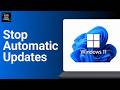 How To Pause Windows Updates ?
