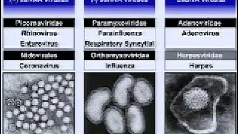 Joe DeRisi: Hunting the next killer virus