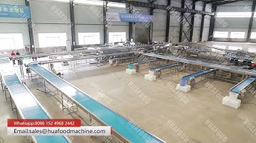 Automated Harmi Melon Weight Grading Machine Full Line Walkthrough Tour