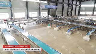 Automated Harmi Melon Weight Grading Machine Full Line Walkthrough Tour