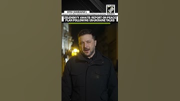 Zelenskyy awaits report on security guarantees & economic recovery plan after US-Ukraine talks