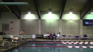 Henry 103C 1M Prelim Dive Liberal Arts Principia at Coe College