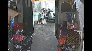 Tin hot đêm qua, chỉ vì mất kiểm xót 🥲, a đã bị bế lên fuong