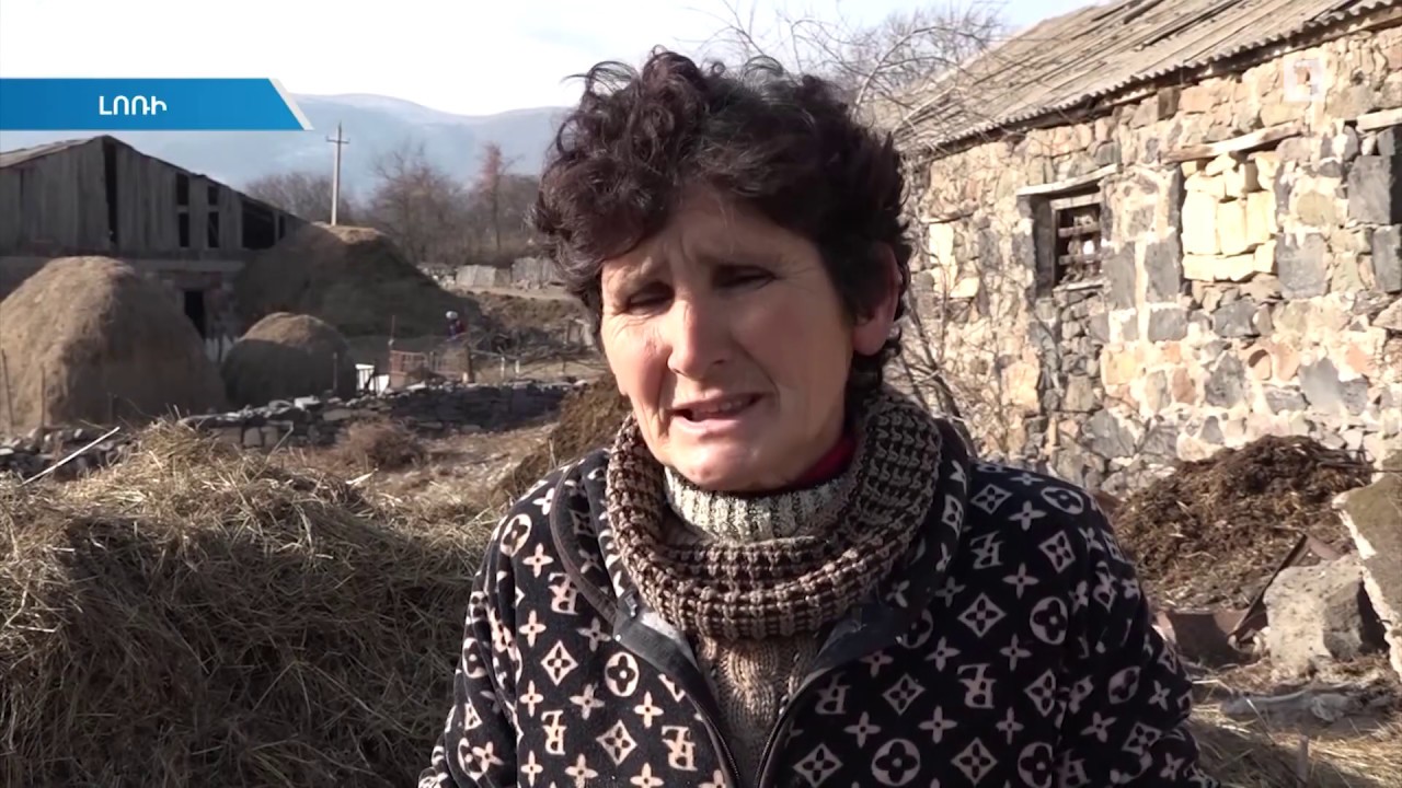 Պարզվում է Աքորի գյուղում խոզերի անկման պատճառը