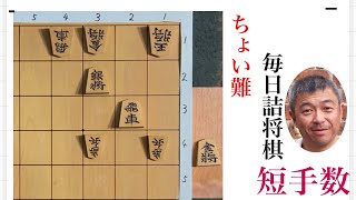 毎日詰将棋 その805