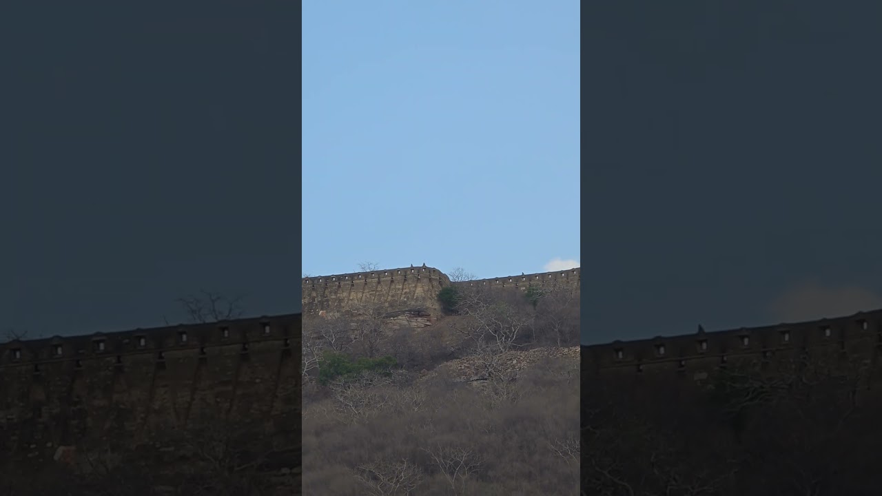 monkey on wall at Chittorgarh fort 🤠 