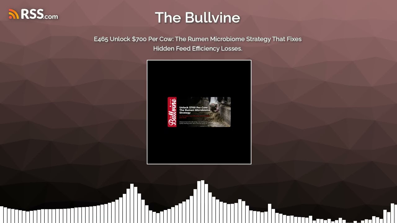 E465 Unlock $700 Per Cow: The Rumen Microbiome Strategy That Fixes Hidden Feed Efficiency...