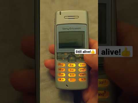 Sony Ericsson T100