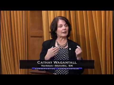 Cathay Wagantall Try 2 Add Jordan Peterson AMDT 2 C-16 Trans Bill | Gender Pronouns canada dry