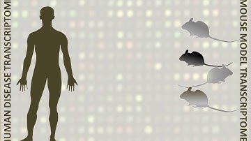 Animated Abstract: Weidner, Steinfath and colleagues (EMBO Mol. Med.)