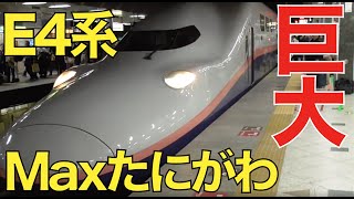 【巨大】置き換えがせまる上越新幹線「E4系Maxたにがわ号」に乗車！