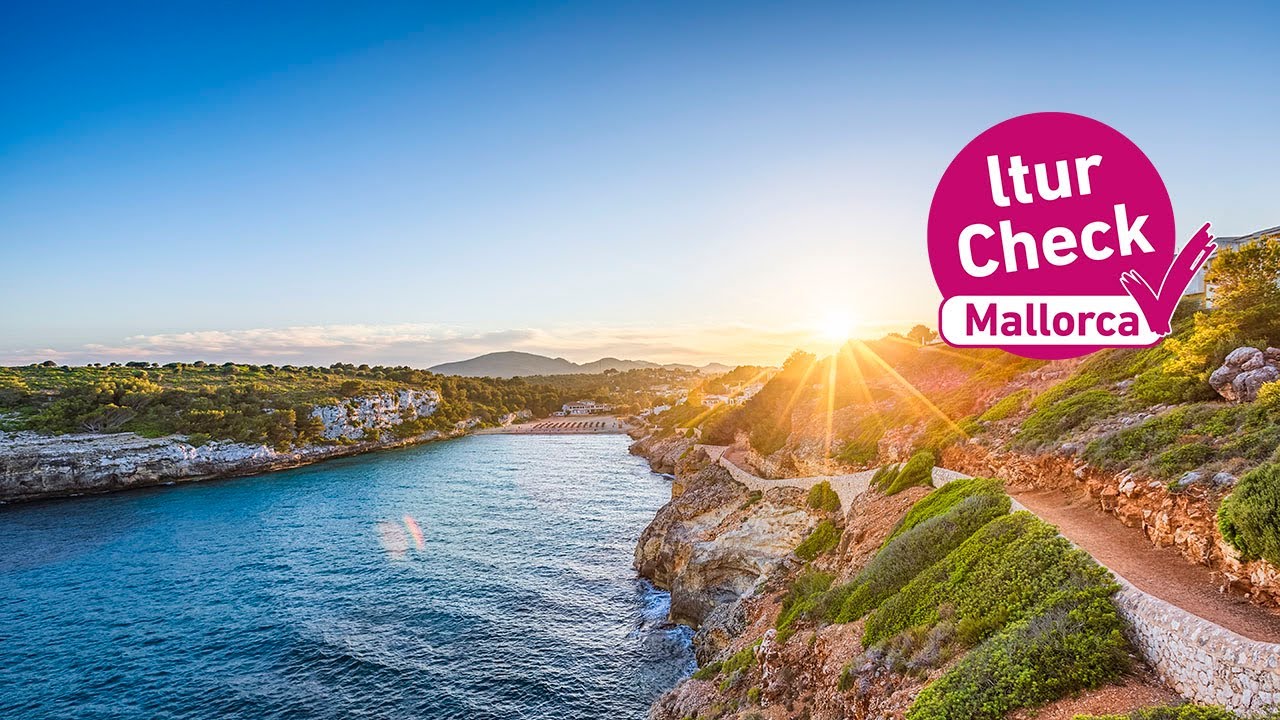 Ltur Check Mallorca Youtube