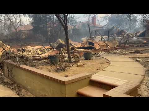 Help Maria & Mike Recover After Altadena Home Destroyed photo