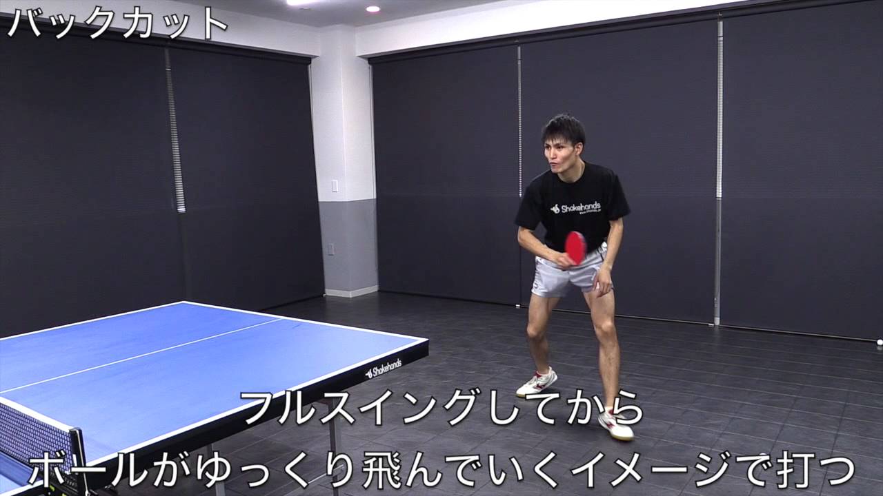 宝 いじめっ子 定規 卓球 カット マン 平屋 Whiteningshop Jp